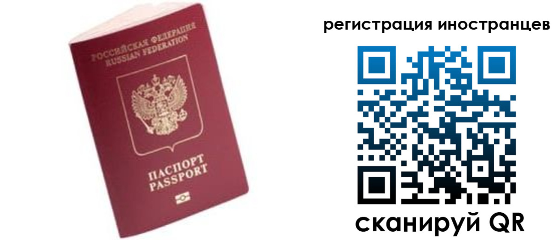 прописка гарантия в Волгодонске